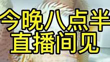 大渔场进入鱼只的周转阶段了……
#观赏鱼 #七彩神仙鱼繁殖 #渔场 #养殖基地