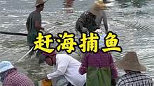 湛江渔民合力拉千米巨网捕鱼，海滩围满游客，这网能有多少收获？ #赶海 #出海捕鱼 #拉大网  #南三
