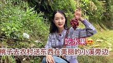 桃子去农村送东西路上遇见美丽的风景，停下来吃水果。