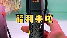 一个安全可靠加温棒的重要性！点赞评论收藏转发将抽取一名幸运粉丝送出一根#一方水族 加温棒！#观赏鱼 