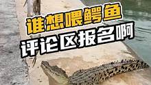 谁想喂鳄鱼评论区报名啊#鳄鱼养殖 #鳄鱼 #鳄珍 