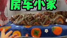 十平米的房车小家，内部和家里一样温馨舒适#房车旅行 #出发吧房车 #一起露营吧 #房车 #露营车