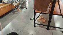 【AmazingJ】明天一定选墨源！拉钩！