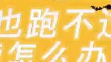 跑也跑不过，那就跳舞呗！
#密室逃脱 #真人密室逃脱 #监控下的一幕 #真人密室逃脱搞笑视频 #这操