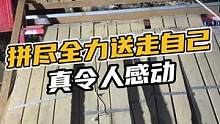 拼尽全力把自己送走的样子真的好令人感动啊#鳄珍 #鳄鱼 #鳄鱼养殖场 