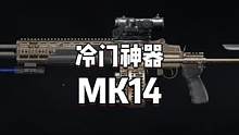 暗区突围冷门神器MK14 #暗区突围军械库 #暗区突围教学#暗区突围手游   