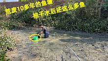 荒废10多年的鱼塘，抽干水后竟然还有这么多鱼抓，一起来看看吧