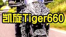 凯旋Tiger660，一台特别像街车的拉力摩托车~#慢慢骑骑到老 #机车 #女骑 #安驾培训 #摩托
