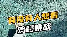 有没有人想看鸡鳄挑战？#鳄珍 #鳄鱼 
