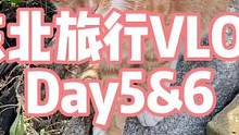 回家一周终于把东北vlog剪完了 出去玩真的好开心 希望早日回到自由的日子#vlog日常 #旅行 #