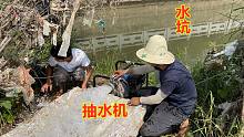 2台抽水机抽干大水坑，没想到鱼一只接着一只，这样抓鱼太过瘾了