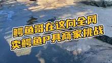  鳄鱼哥在这里向全网卖鳄鱼P具商家挑战#鳄珍 