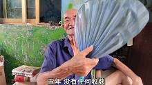85岁农村大爷讲述自己创业失败经历，太搞笑了