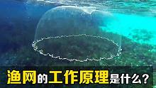 渔网的工作原理是什么？下面明明是空的，为什么还能捕上来鱼？