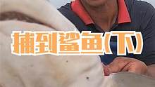 老渔民出海捕鱼遇到鲨鱼，金灿灿的大货好诱人，连抓值钱的九节虾（下）