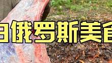 白俄罗斯大山深处乡村夫妇制作户外美食地坑炭烤超大只牛腿 #美食vlog #牛腿 #户外美食 #民族特