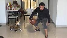 狗：看到这个篮球，忍不住舞蹈起来~