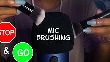 【VioletBluu】骤停的化妆刷刷麦克风防风罩音 Anticipatory Mic Brushi