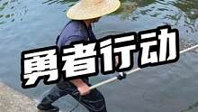 勇者行动#鳄鱼养殖#鳄鱼#鳄珍 