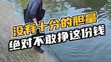 没有十分的胆量绝对不敢挣这份钱#鳄鱼养殖 #鳄鱼#鳄珍  