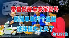 带着爸妈房车安家野外，简简单单打个鱼酱，这味道太上头了