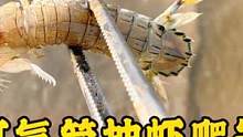打气筒抽虾爬子，一会一只，改良工具真给力，有洞就出货，真牛#赶海 #全民赶海节 #全民赶海季 #全民