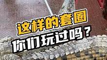这样的套圈你们玩过吗？#鳄珍 
