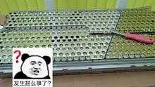 特斯拉的电池拆开，就是一节节的充电电池…#特斯拉 #马斯克 #新能源 #汽车