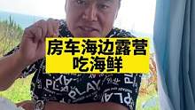 房车海边露营，这样的生活你们喜欢吗！#房车生活 #露营美食 #户外露营 #爱生活爱美食