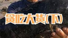 渔网挂满暂养架过夜，打上来各种海鱼抓贪吃大货，这一条就发财了（下）