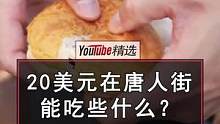 20美元足够在纽约唐人街吃多少美食？——猪肉韭菜蒸饺，叉烧饭，花生酱拌面，猪肉肠粉，菠萝包，椰蓉面包