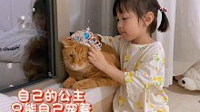 橘猫：我和我的话唠小主人
