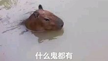 钓个鱼碰到这个玩意，这是什么鬼？有认识的吗
