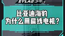 #比亚迪海豹 为什么用扁线电机？#新能源汽车 