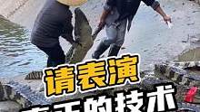 是时候表演真正的技术了#鳄鱼 #鳄珍#鳄鱼养殖 