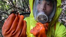 海陆空三个方位定位虎头蜂，子威跋山涉水找到，最后网兜无奈下岗