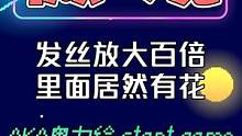 头发放大一百倍竟如此奇妙？里面居然有多花 