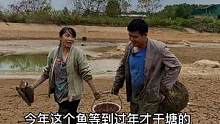 每年都是过年干鱼塘的 因为今年的天气提前了#新农人计划2022 #乡村守护人 #乡村美食 