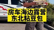 北方人冬天就少不了这口！粘糯香甜的东北粘豆包#爱生活爱美食 #好吃到停不下来
