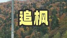 #海外生活 #枫 一路向北 追风。今天到秋田县