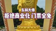 东林大佛真正的金佛，用48公斤的黄金为大佛镀金，这里没有商业化，门票吃饭烧香全免#愿众生平安吉祥 #