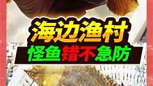 海边闲逛发现小渔村，摊位搜寻惊现巨口怪鱼，最后收货小河豚一只 #八爪鱼 #大海的味道 #赶海 