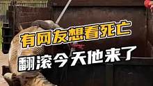 有网友想看死亡翻滚，今天他来了#鳄珍 