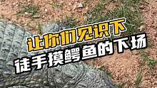 让你们见识一下徒手摸鳄鱼的下场#鳄珍 