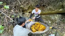 小明和老表上山采蜜，刚上去感觉不对劲，没想到最后收获惊喜了