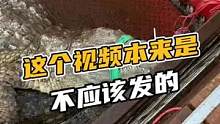 这个视频是不应该发的，但是我忍不住#鳄珍 
