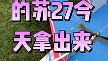航模入坑首选神机苏27