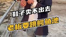 鞋子卖不出去、老板要跳鳄鱼池了！#鳄珍 #鳄鱼养殖场 #鳄鱼