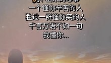 千言万语，不如一句：“我懂你”人生感悟 人生 现实语录_0