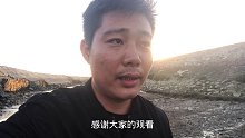 退潮后海沟藏着多少螃蟹，兴哥一个个抓到爽，这样才是赶海